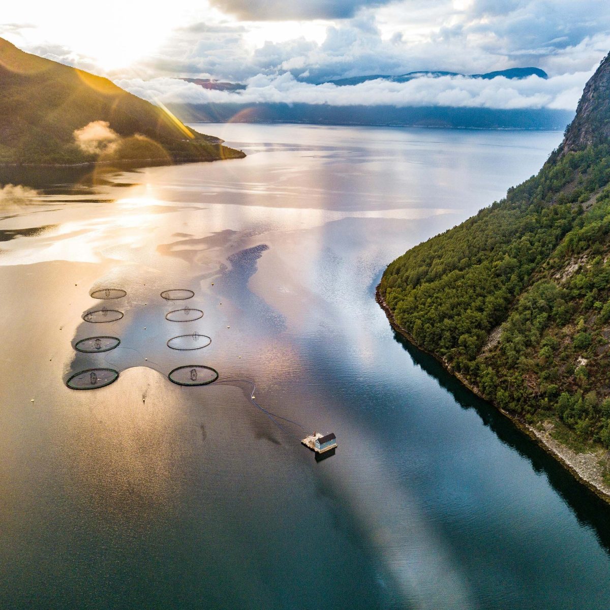 Jets Image Fish farm Soreide Vestland Norway Norge pexels peederopecta 18511573 web