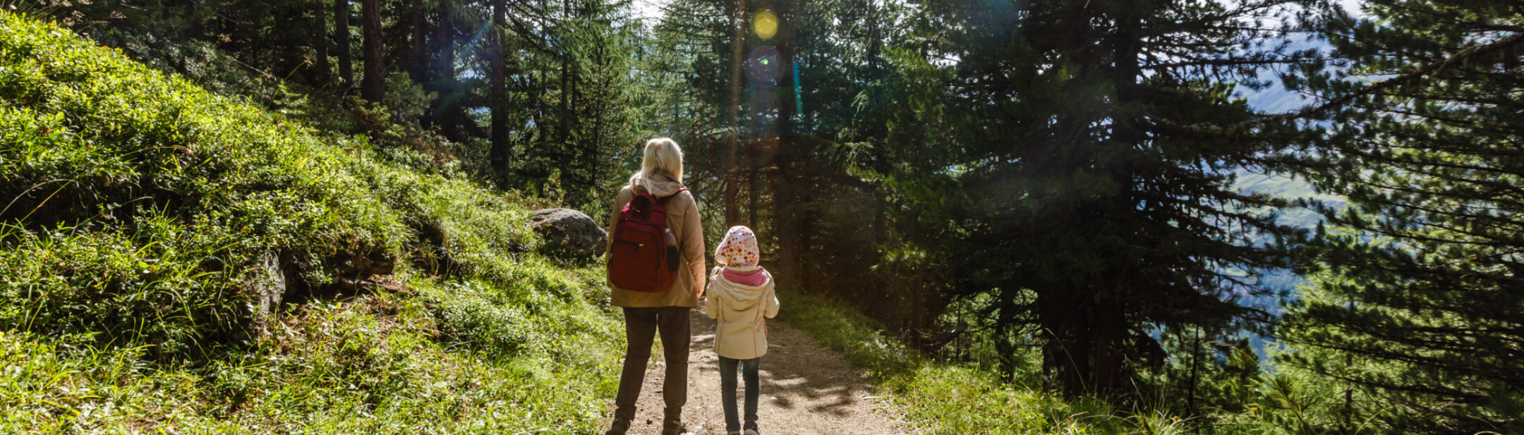 Jets Image CAB Natur Skog Familie Tur Adobe Stock 486704891