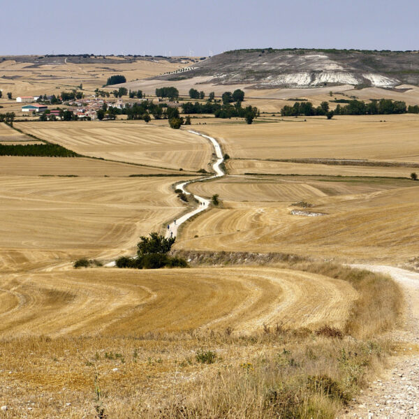 Drought road Spain Stock 390206261