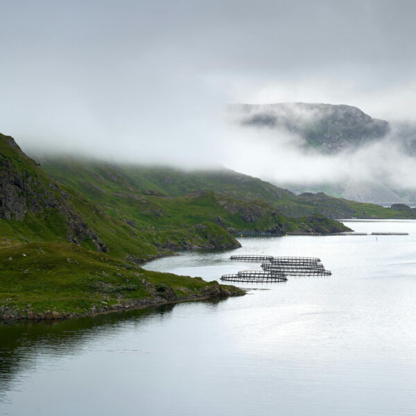 Jets Image Fish farm Troms Norge Norway pexels barnabas davoti 31615494 10133727 web