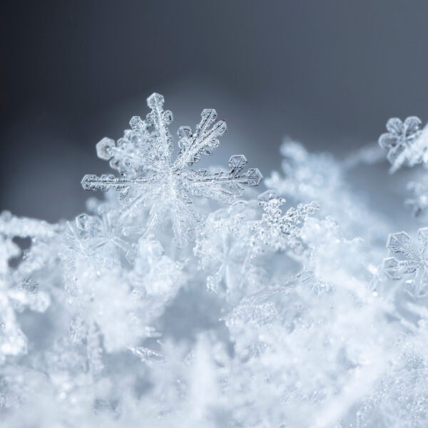 Jets Image Frozen Snow Adobe Stock 307805890 web