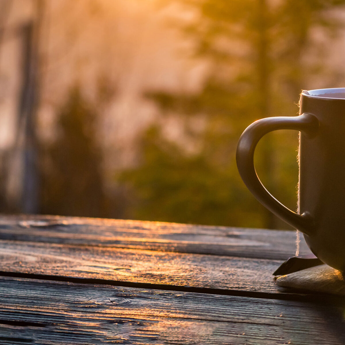 Jets Image CAB Nature Cabin Mug Coffee Tea View Adobe Stock 178132990 banner web