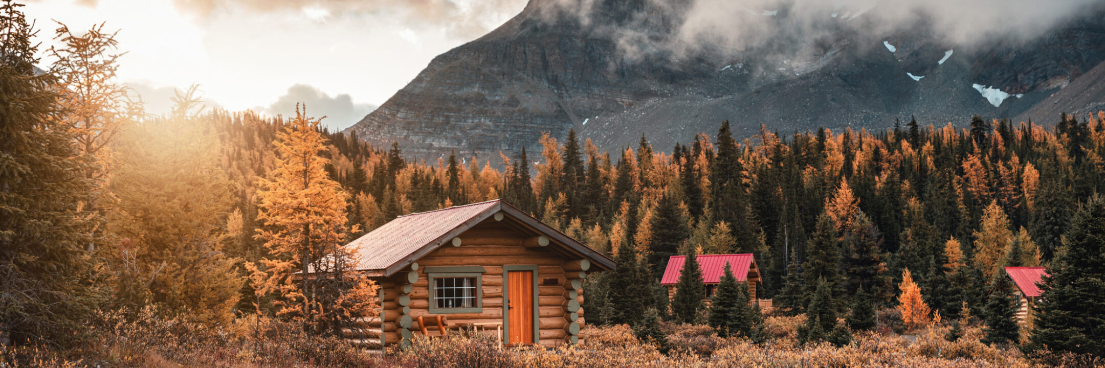 Jets Image CAB Nature Cabin Woods Adobe Stock 376721041 web