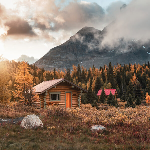Jets Image CAB Nature Cabin Woods Adobe Stock 376721041 web