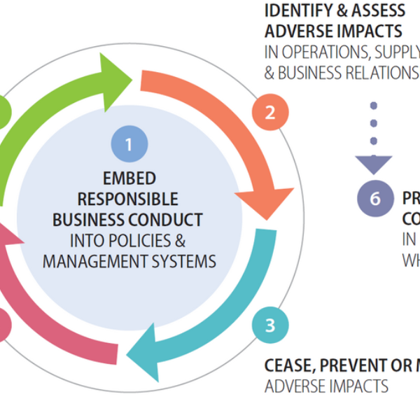 Illustration Due diligence OECD model