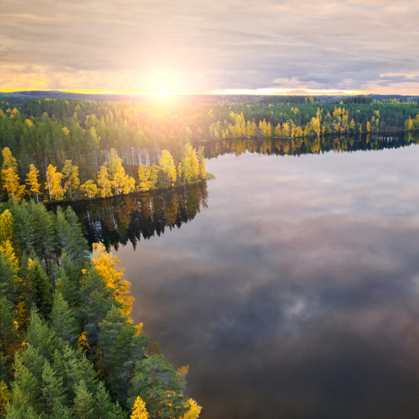 Jets Image CAB Nature Forest Lake Adobe Stock 332648438 square